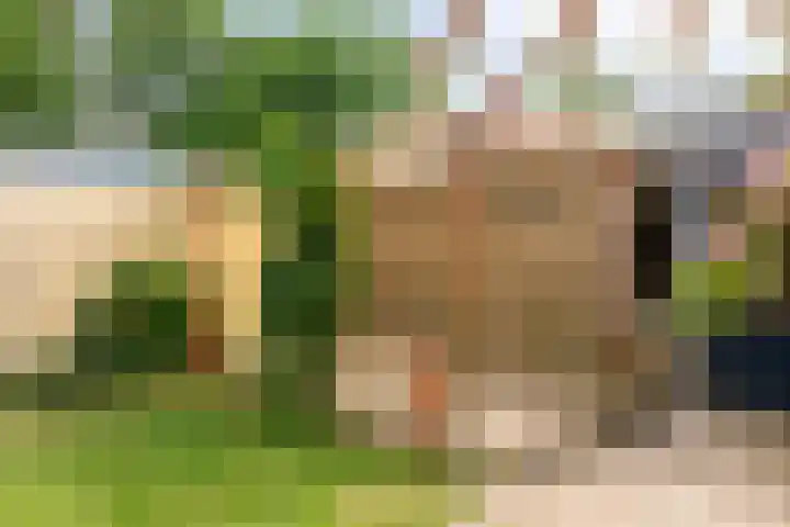 Wuustwezelstraat 1 Breda thumbnail 29
