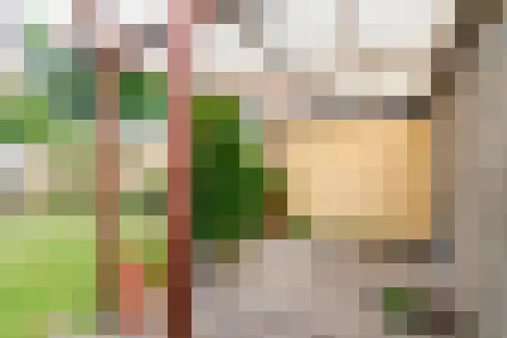 Wuustwezelstraat 1 Breda thumbnail 30