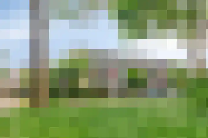 Wuustwezelstraat 1 Breda thumbnail 32