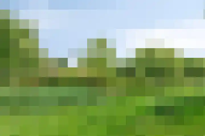 Wuustwezelstraat 1 Breda thumbnail 33