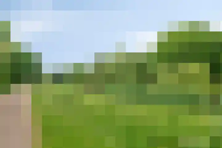 Wuustwezelstraat 1 Breda thumbnail 34
