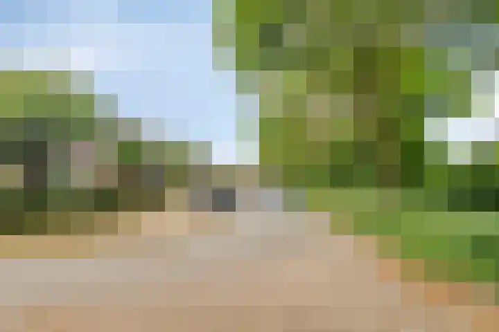 Wuustwezelstraat 1 Breda thumbnail 4
