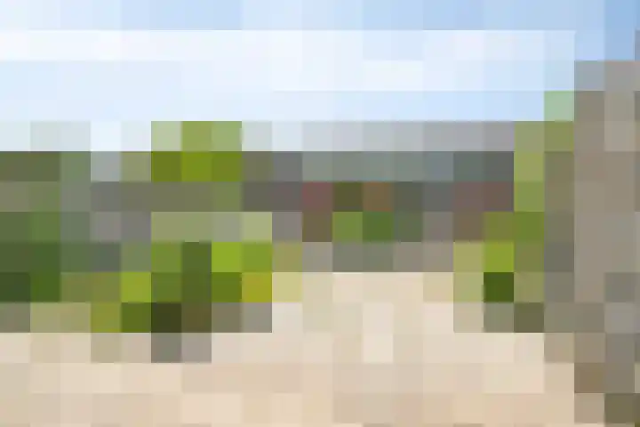 Wuustwezelstraat 69 Breda thumbnail 18