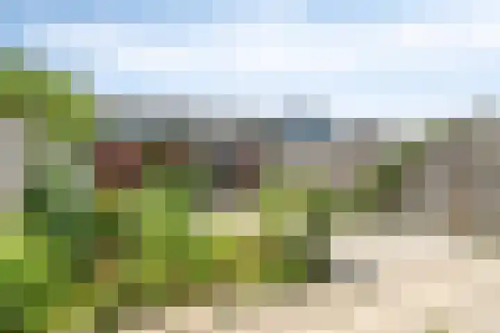 Wuustwezelstraat 69 Breda thumbnail 19