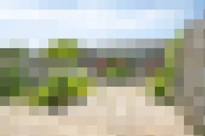 Wuustwezelstraat 69 Breda thumbnail 5
