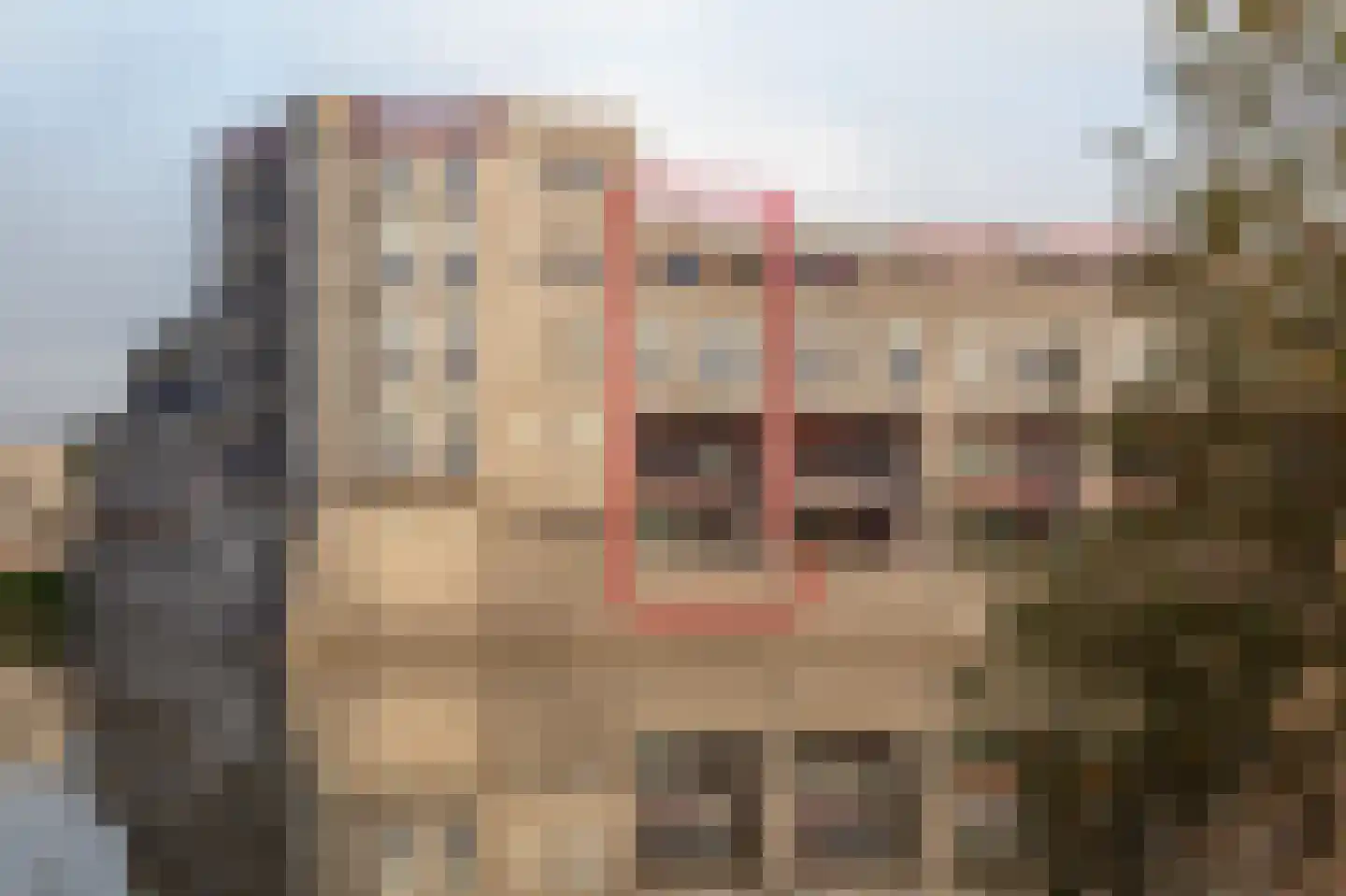 Wuyvenhaerd 10 's-Hertogenbosch thumbnail 34