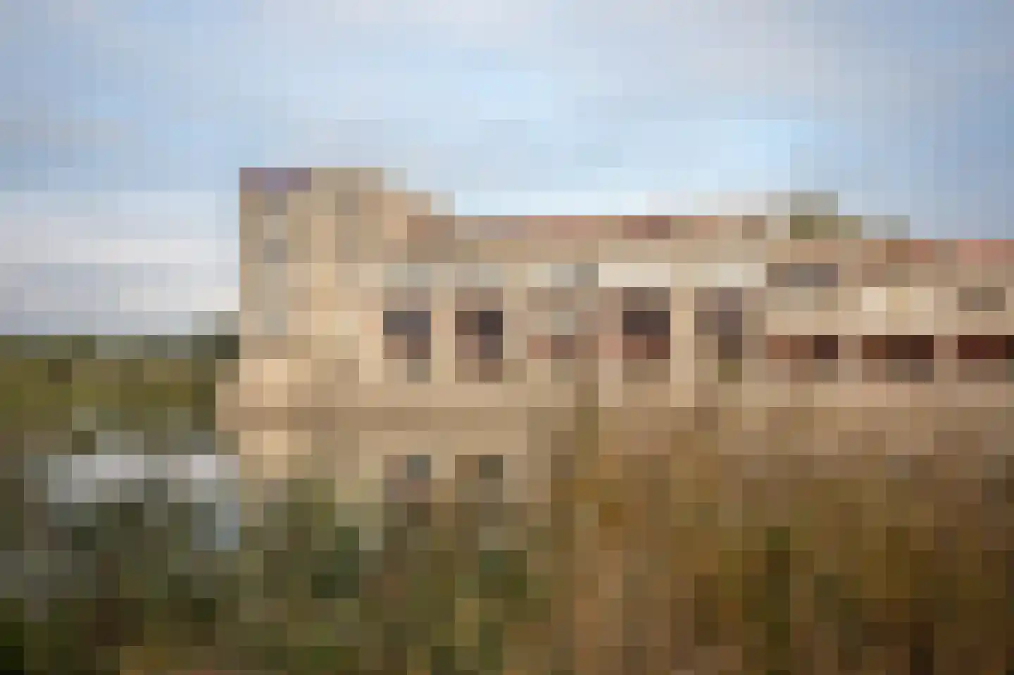 Wuyvenhaerd 10 's-Hertogenbosch thumbnail 35