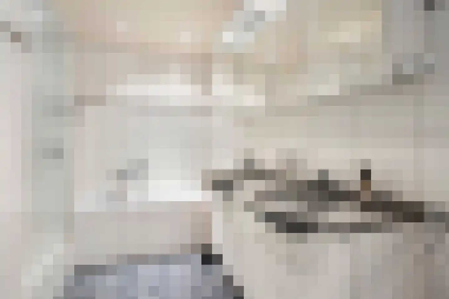 Wuyvenhaerd 12 's-Hertogenbosch thumbnail 33