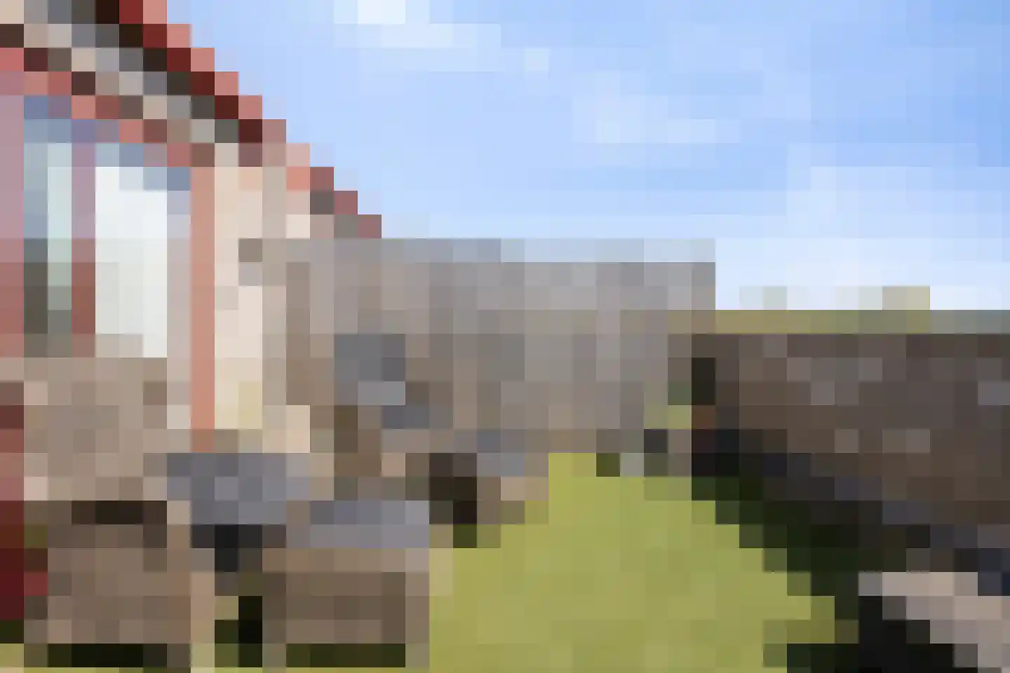 Wuyvenhaerd 12 's-Hertogenbosch thumbnail 48