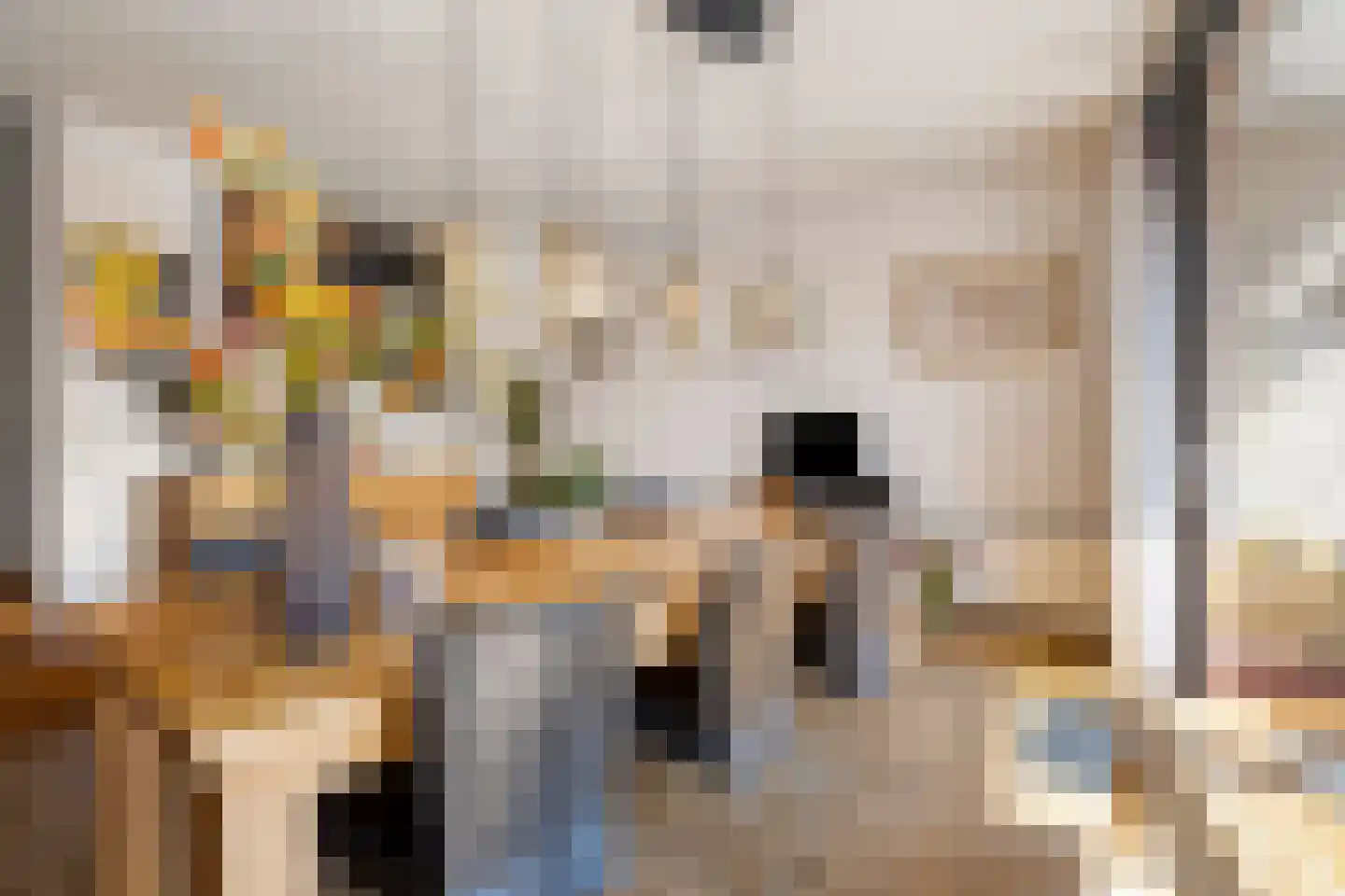 Wuyvenhaerd 12 's-Hertogenbosch thumbnail 7