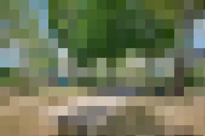 Wuyvenhaerd 3 's-Hertogenbosch thumbnail 29