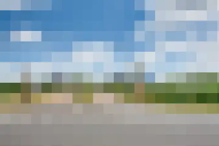 Wuyvenhaerd 3 's-Hertogenbosch thumbnail 30