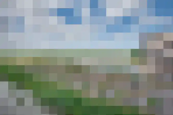 Wuyvenhaerd 3 's-Hertogenbosch thumbnail 4