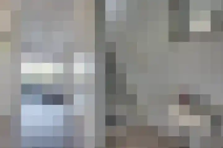 Wuyvenhaerd 3 's-Hertogenbosch thumbnail 5