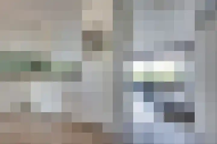Wuyvenhaerd 3 's-Hertogenbosch thumbnail 6