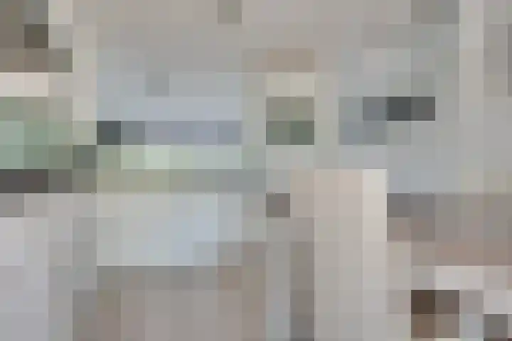 Wuyvenhaerd 3 's-Hertogenbosch thumbnail 8