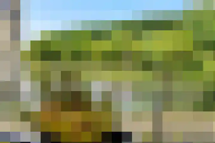 Wuyvenhaerd 37 's-Hertogenbosch thumbnail 10