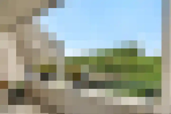 Wuyvenhaerd 37 's-Hertogenbosch thumbnail 11