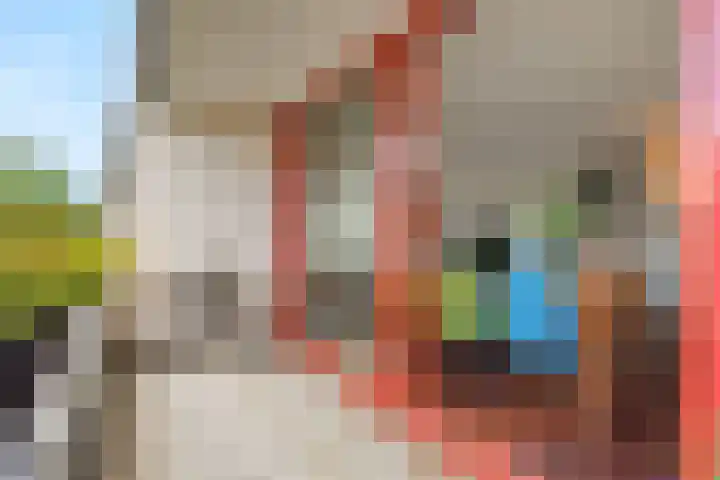 Wuyvenhaerd 37 's-Hertogenbosch thumbnail 12