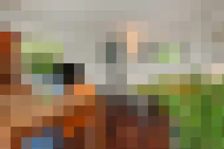 Wuyvenhaerd 37 's-Hertogenbosch thumbnail 13