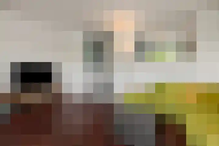 Wuyvenhaerd 37 's-Hertogenbosch thumbnail 14