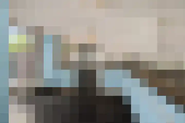 Wuyvenhaerd 37 's-Hertogenbosch thumbnail 16