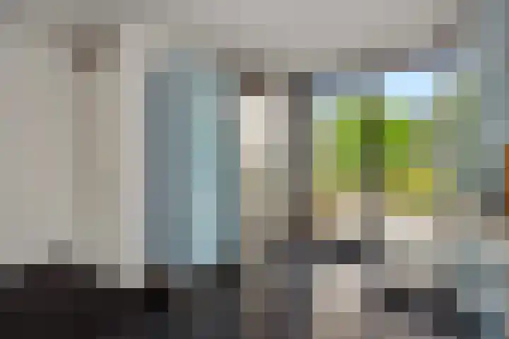 Wuyvenhaerd 37 's-Hertogenbosch thumbnail 18