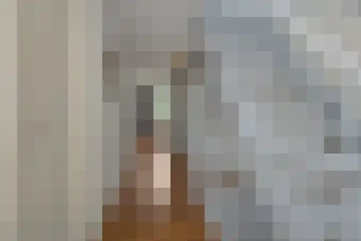 Wuyvenhaerd 37 's-Hertogenbosch thumbnail 24