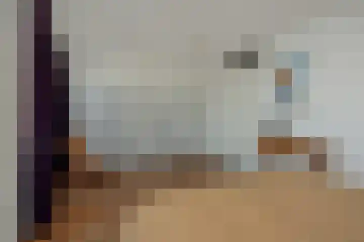 Wuyvenhaerd 37 's-Hertogenbosch thumbnail 26