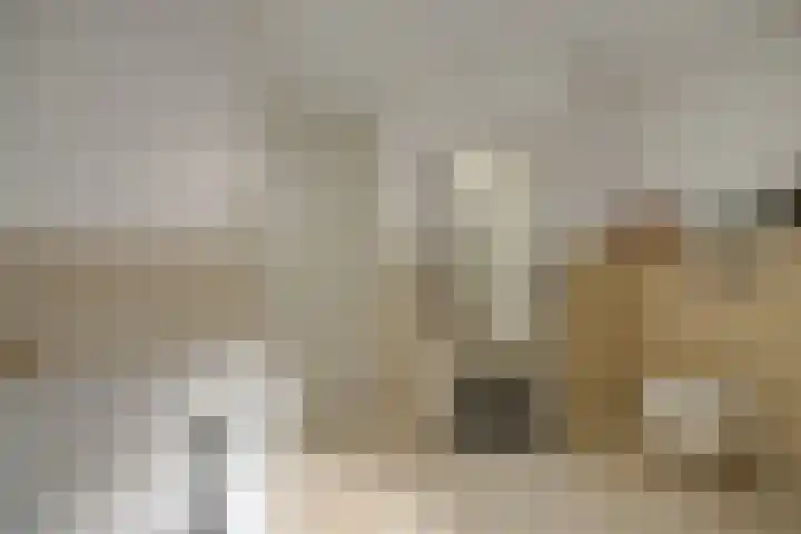 Wuyvenhaerd 37 's-Hertogenbosch thumbnail 31