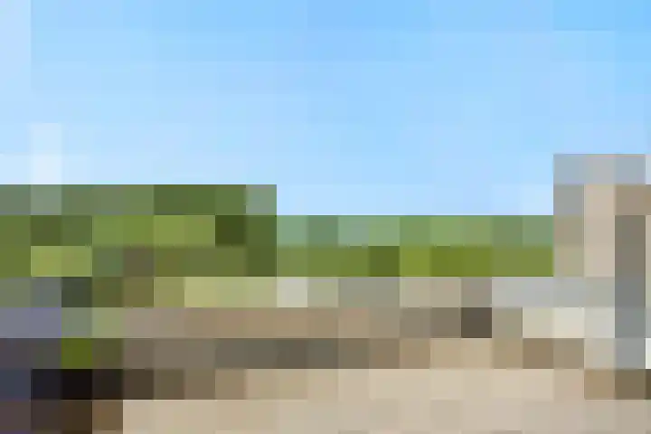 Wuyvenhaerd 37 's-Hertogenbosch thumbnail 34
