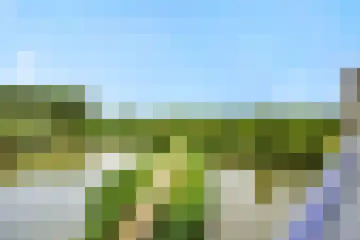 Wuyvenhaerd 37 's-Hertogenbosch thumbnail 35