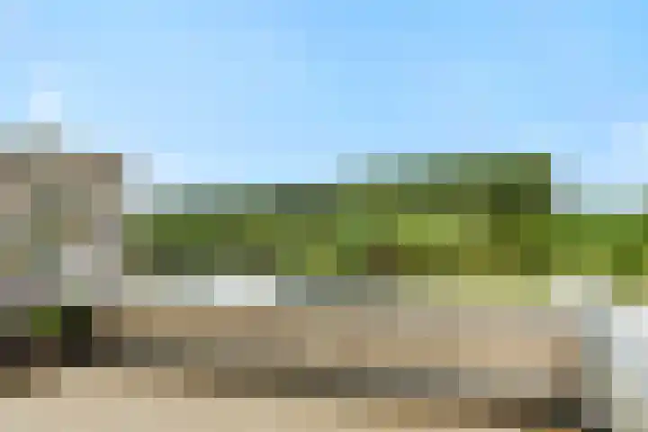 Wuyvenhaerd 37 's-Hertogenbosch thumbnail 36
