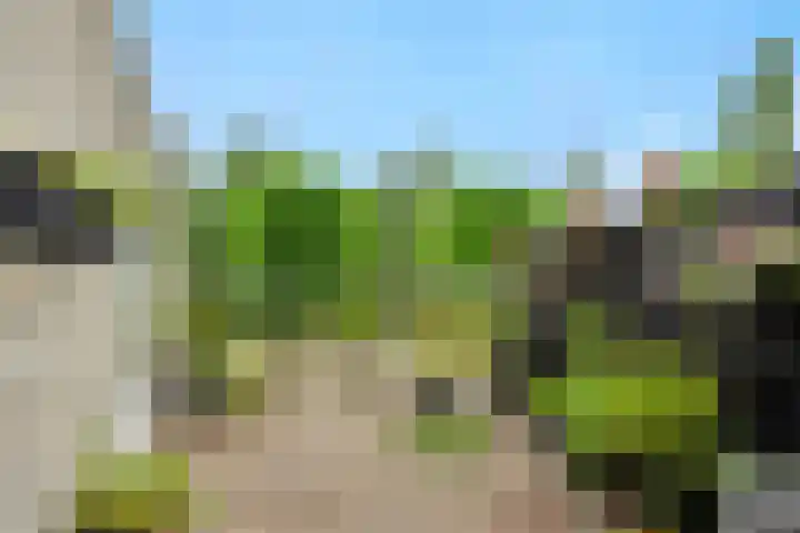 Wuyvenhaerd 37 's-Hertogenbosch thumbnail 38