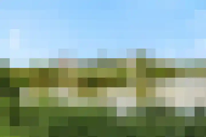 Wuyvenhaerd 37 's-Hertogenbosch thumbnail 44