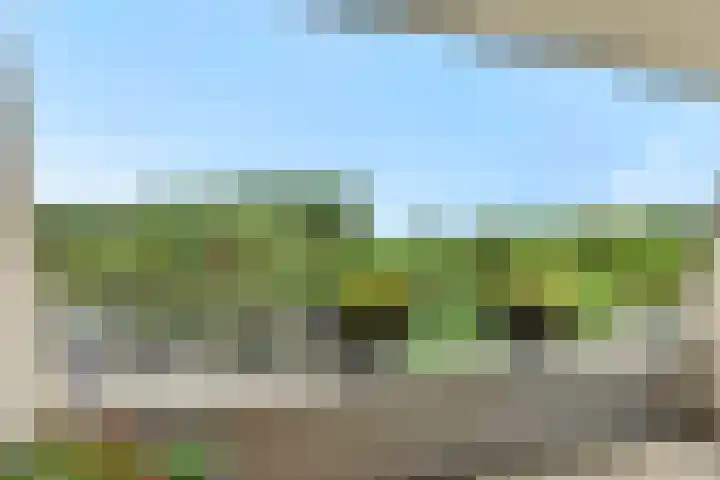 Wuyvenhaerd 37 's-Hertogenbosch thumbnail 9