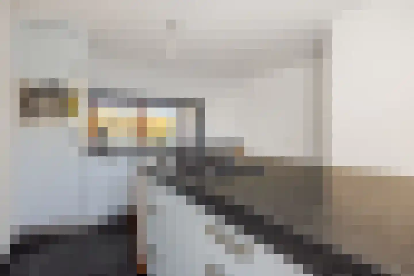 Wuyvenhaerd 43 's-Hertogenbosch thumbnail 19