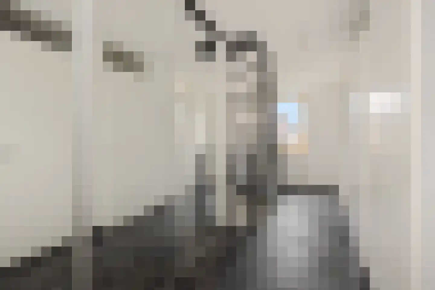 Wuyvenhaerd 43 's-Hertogenbosch thumbnail 29