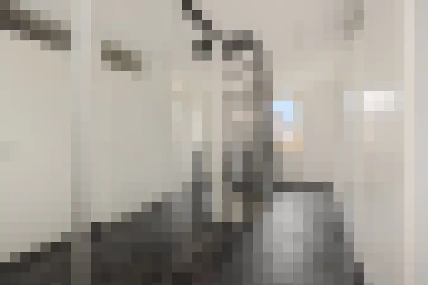 Wuyvenhaerd 43 's-Hertogenbosch thumbnail 30