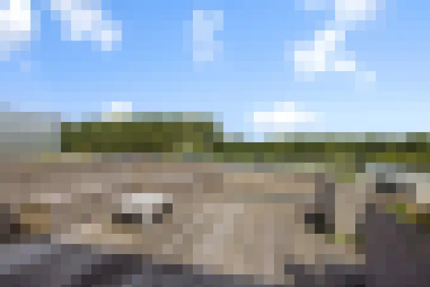 Wuyvenhaerd 43 's-Hertogenbosch thumbnail 40