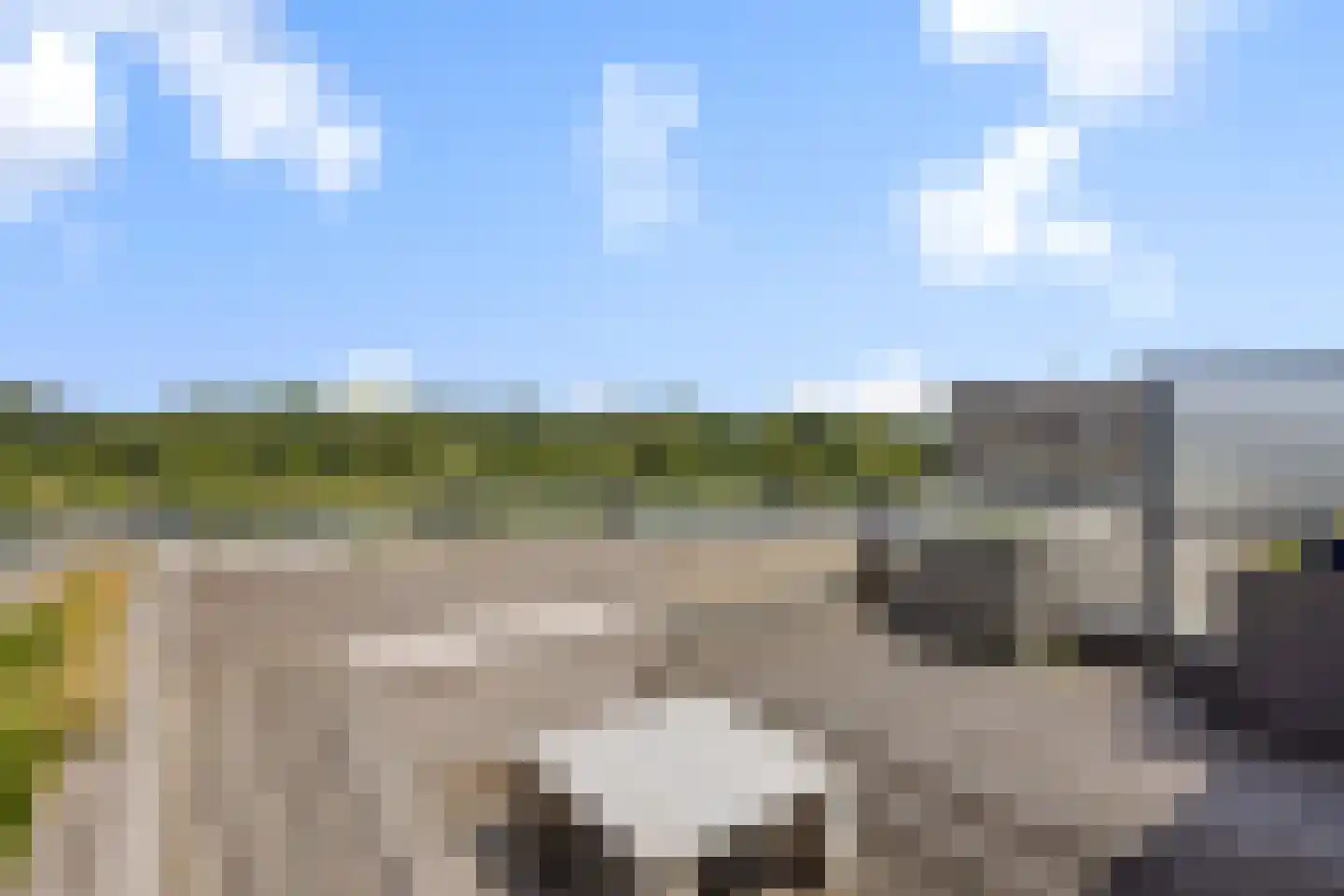 Wuyvenhaerd 43 's-Hertogenbosch thumbnail 41