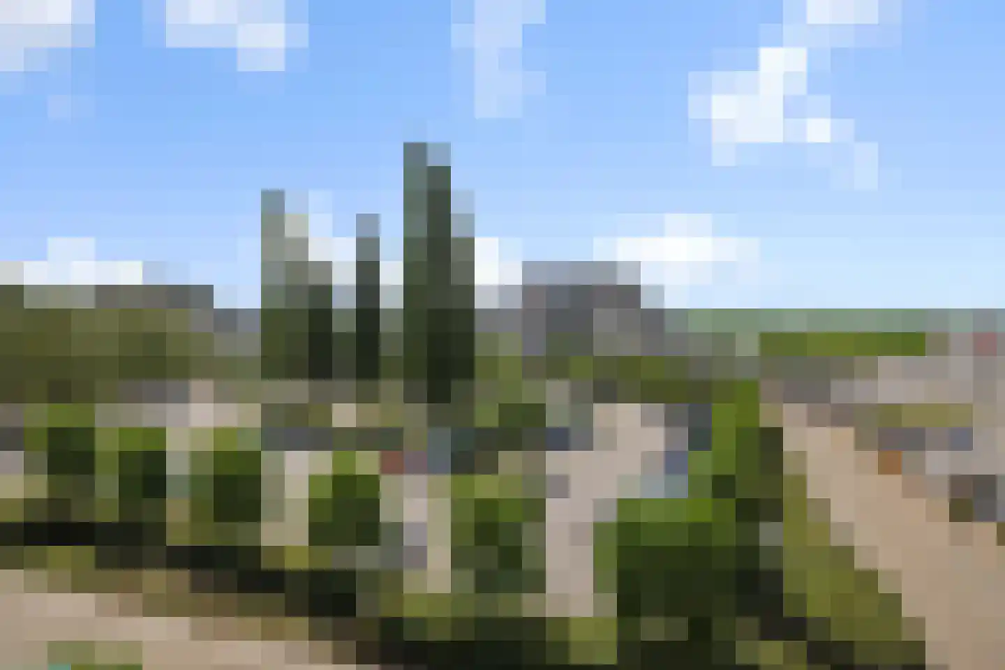 Wuyvenhaerd 43 's-Hertogenbosch thumbnail 54