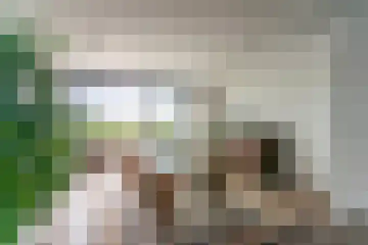 Wuyvenhaerd 5 's-Hertogenbosch thumbnail 10