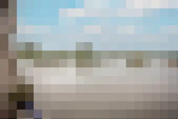 Wuyvenhaerd 5 's-Hertogenbosch thumbnail 14