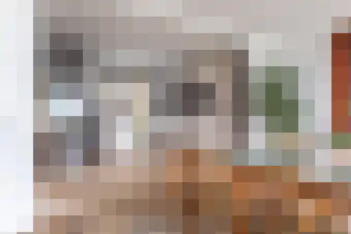 Wuyvenhaerd 5 's-Hertogenbosch thumbnail 7