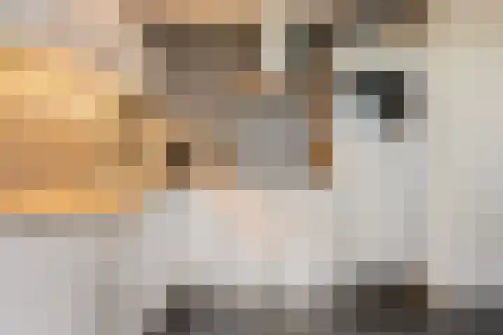 Wuyvenhaerd 69 's-Hertogenbosch thumbnail 13