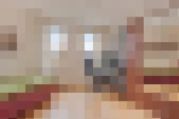 Wuyvenhaerd 69 's-Hertogenbosch thumbnail 17