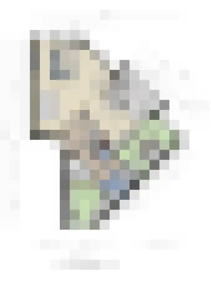 Wuyvenhaerd 69 's-Hertogenbosch thumbnail 27