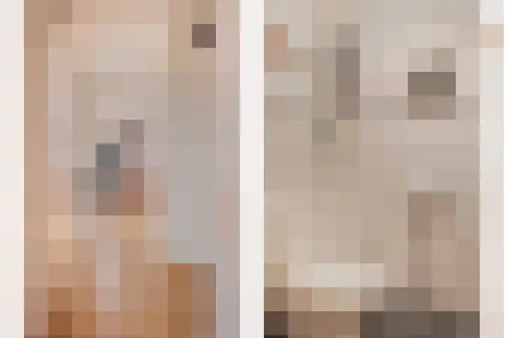 Wuyvenhaerd 69 's-Hertogenbosch thumbnail 5