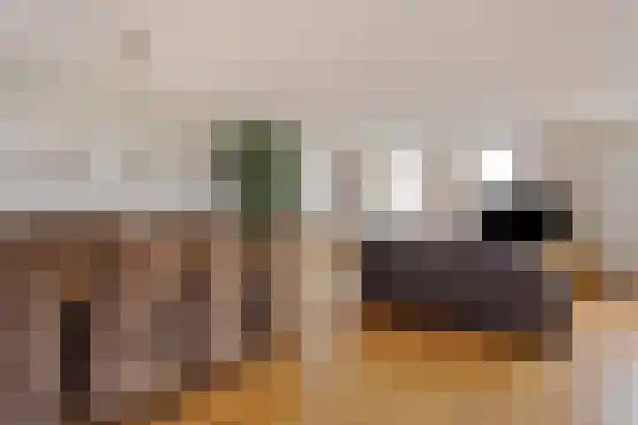 Wuyvenhaerd 69 's-Hertogenbosch thumbnail 6